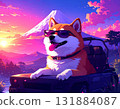131884087