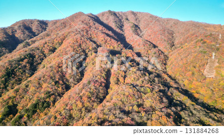 鳥瞰被秋色染紅的栃木縣日光。 131884268