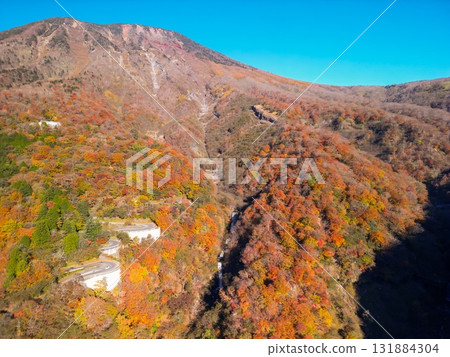 鳥瞰被秋色染紅的栃木縣日光。 131884304