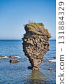 Ebisu Rock, a strange rock formation that never falls on the Shakotan Peninsula 131884329