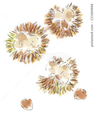 秋季植物。栗子毛邊的水彩插圖 秋季植物。栗子毛邊的水彩插圖 131884666