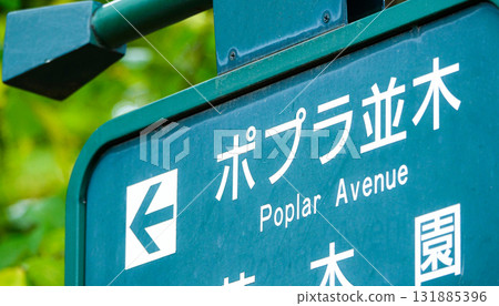 北海道大學白楊林蔭道資訊牌 131885396