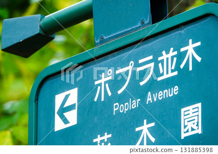 北海道大學白楊林蔭道資訊牌 北海道大學白楊林蔭道資訊牌 131885398