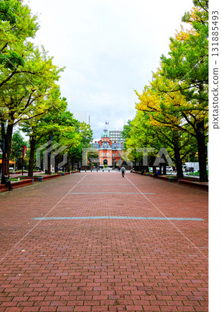 從 Akapla 眺望北海道紅磚政府大樓 從 Akapla 眺望北海道紅磚政府大樓 131885493