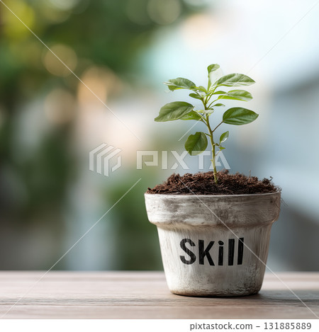 Young plant growth in pot symbolizing skill development and progress with soft natural light and blurred background 131885889