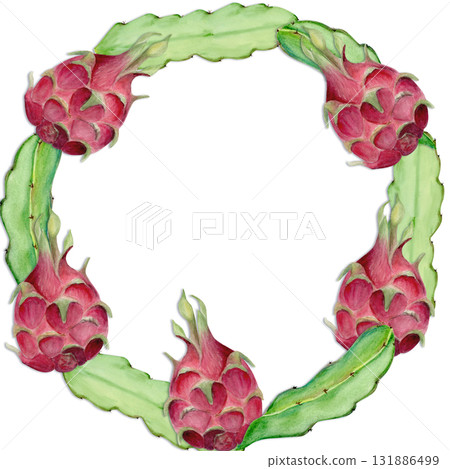 Dragon fruit, cactus leaf hand-painted watercolor wreath isolated on white. Tropical exotic fruit artwork, perfect for botanical prints, cards, packaging design, healthy food concepts, summer decor. 131886499