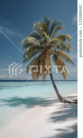 Tropical palm beach coconut palm white sand turquoise water blue sky gentle waves tropical palm beach with leaning coconut palm casting soft shadow white sand and clear turquoise water sunny blue 131886942