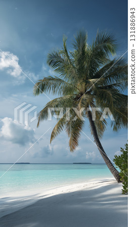Aerial palm tree beach ocean turquoise water white sand tropical sky clouds serene vacation 131886943