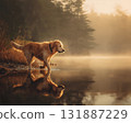 Golden retriever walking by misty lake at sunrise with warm light and reflective water, peaceful nature scene with trees and grass, calm mood and soft golden tones 131887229