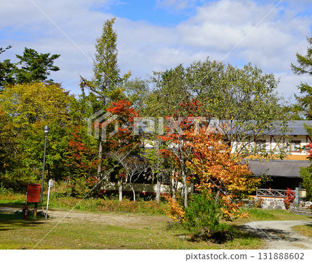 五色沼秋葉 五色沼秋葉 131888602