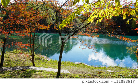 五色沼秋葉 131888617