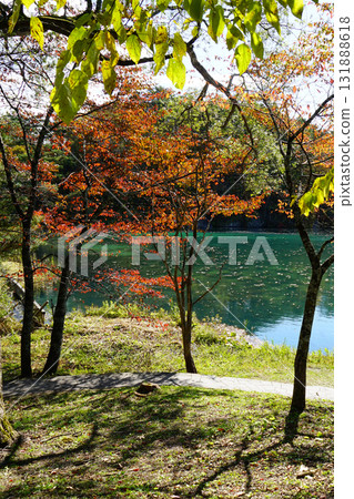 五色沼秋葉 五色沼秋葉 131888618