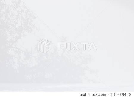 Background material_Sunlight filtering through the trees 131889460