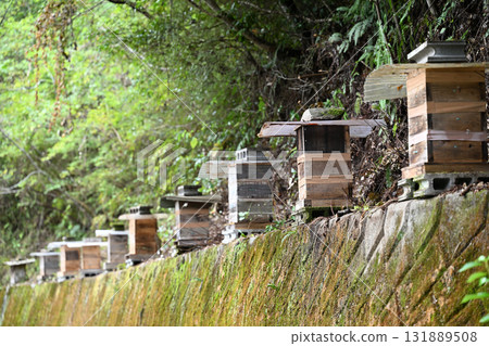 Honeycomb hive box 131889508