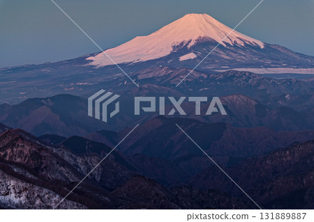 Mount Fuji in the early spring morning glow seen from the summit of Mount Tonodake in Tanzawa 131889887