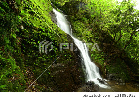 Shimizu Falls (Makioyama) [Makioyamacho, Izumi City, Osaka Prefecture] 131889932