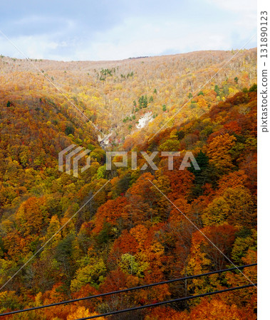 Zao Ropeway Autumn leaves 131890123