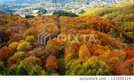 Zao Ropeway Autumn leaves 131890124
