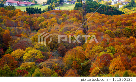 藏王索道 紅葉 131890125