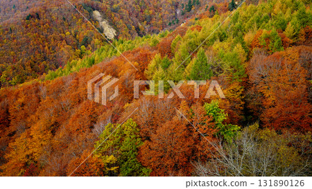 Zao Ropeway Autumn leaves 131890126