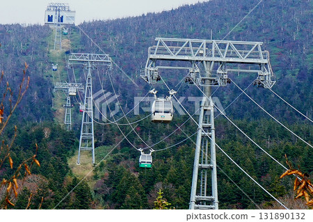 藏王索道 紅葉 131890132