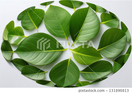 一組變形為橢圓形的葉子 一組變形為橢圓形的葉子 131890813