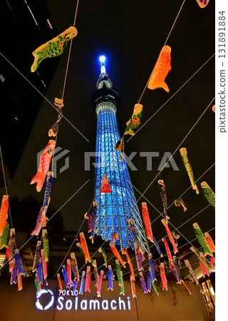 Sky tree  131891884