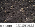 Plowed agricultural field after sugarcane harvest with rich brown soil prepared for new planting. Food security, soil health, and sustainable farming landscape in rural countryside. World soil day. 131891988
