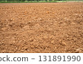 Agricultural field with plowed dirt after harvest season. Rural farming landscape prepared for planting crops to support sustainable agriculture and healthy soil ecosystem. Plowed agricultural soil. 131891990