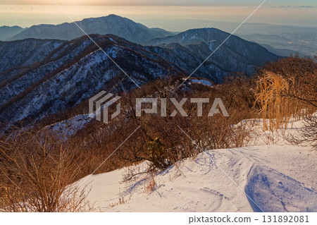 初春時節，從丹澤塔嶽山頂眺望大山主脊和湘南的晨景 131892081