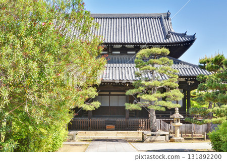 松樹和常福寺的主殿 131892200