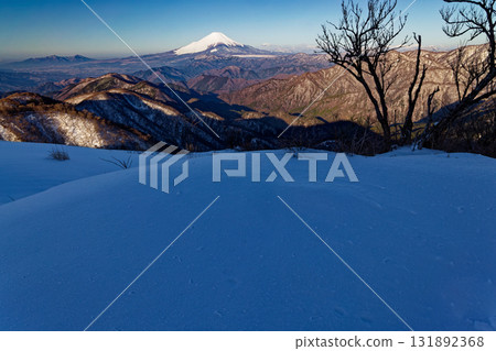 從初春的丹澤戶之嶽山頂看到的富士山 131892368