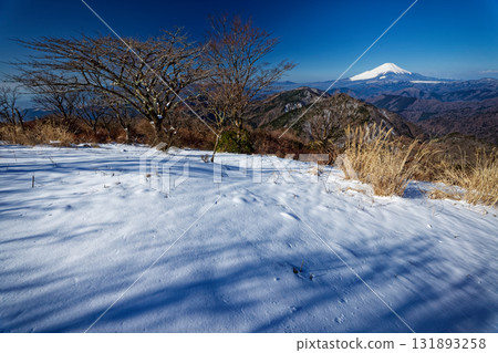 初春時節，從丹澤鍋割山頂眺望富士山 131893258