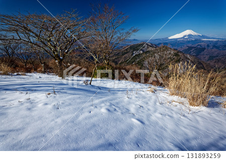 初春時節，從丹澤鍋割山頂眺望富士山 131893259