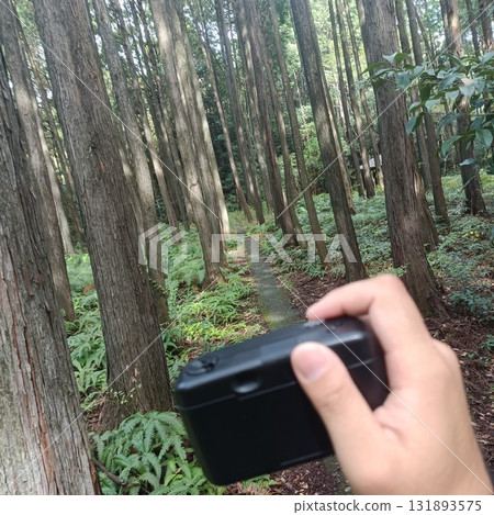 Hand operating a camera in the forest Hand operating a camera in the forest 131893575