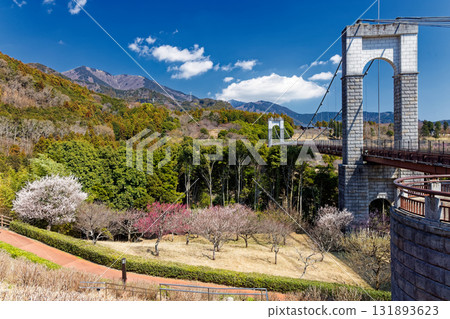 The Wind Suspension Bridge and the Tanzawa Mountains at Togawa Park in Hadano 131893623
