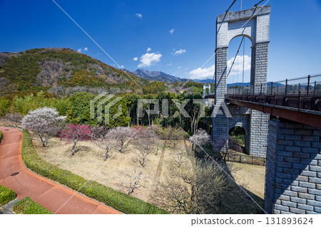 秦野戶川公園的風之吊橋和丹澤山脈 131893624