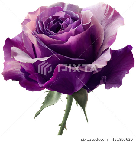 purple rose 131893629