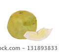 Fresh vector illustration of autumn fruits pears painted in watercolor style 131893833