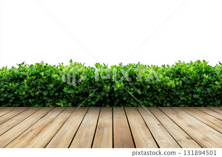 Wooden floor with green bushes isolated on transparent background 131894501