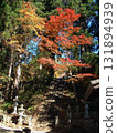 The autumn leaves are beginning to change color along the steep stone steps leading to the shrine. 131894939