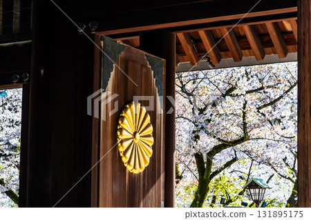 Yasukuni Shrine, Tokyo: The chrysanthemum crest and cherry blossoms on the shrine gate 131895175