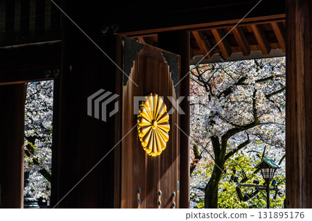 東京靖國神社：神社大門上的菊花紋章和櫻花 131895176
