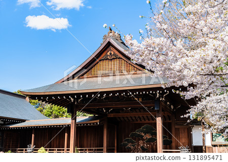 東京靖國神社：能劇場和櫻花 131895471