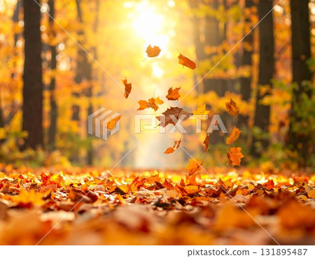 秋夜落葉 131895487