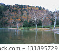 Lake Onuma / Early morning lake surface scenery transitioning from late autumn to early winter - Windless Lake Onuma, Shiga Kogen National Park 131895729
