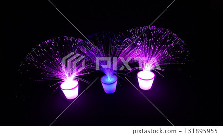 照明花朵以其美麗的光芒為您的聖誕節增添一抹色彩。 131895955