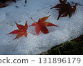 Red maple leaves scattered on fresh snow in a Japanese garden in late autumn/early winter - early morning (close-up) 131896179