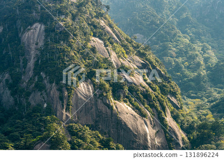 Granite Mountains and the Sunrise, Western Forest Road Area, Yakushima, World Natural Heritage Site (Spring) 131896224