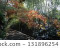 A trip to Kyoto from late autumn to early winter - A path through the countryside of Kyoto, covered in the first snow, bamboo groves and autumn leaves (paths and alleys) 131896254